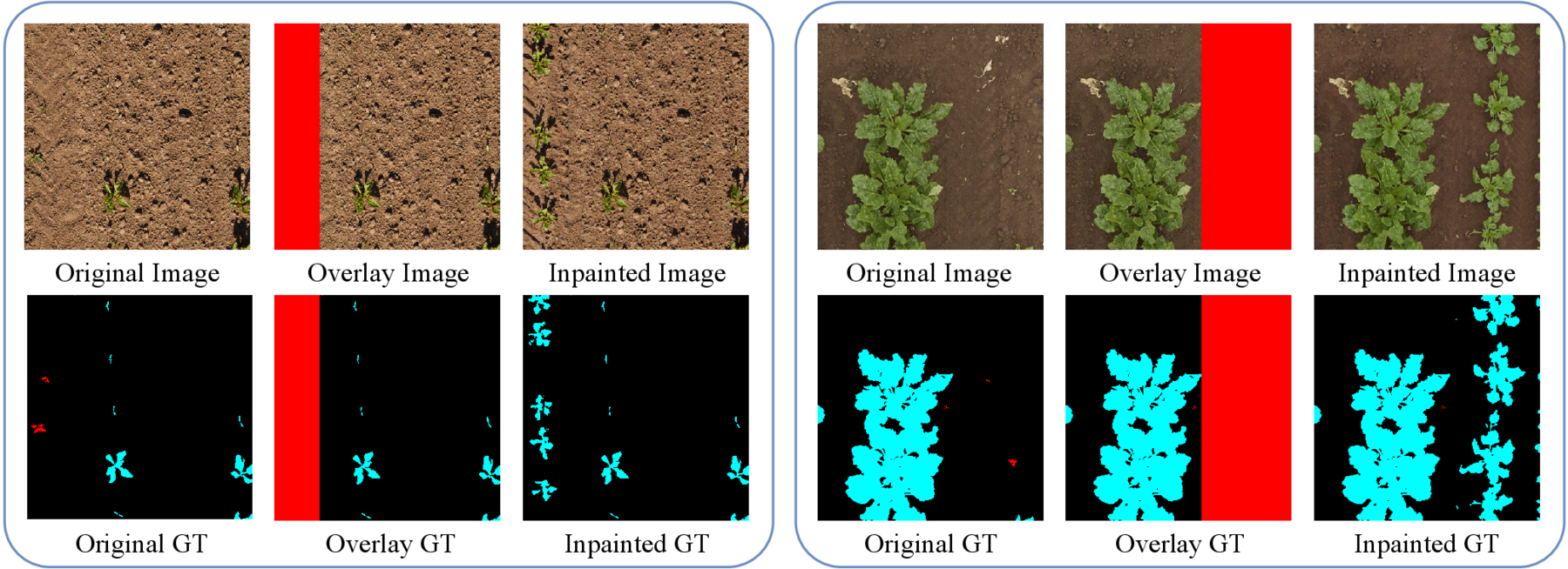 Crop inpainting qualitative examples