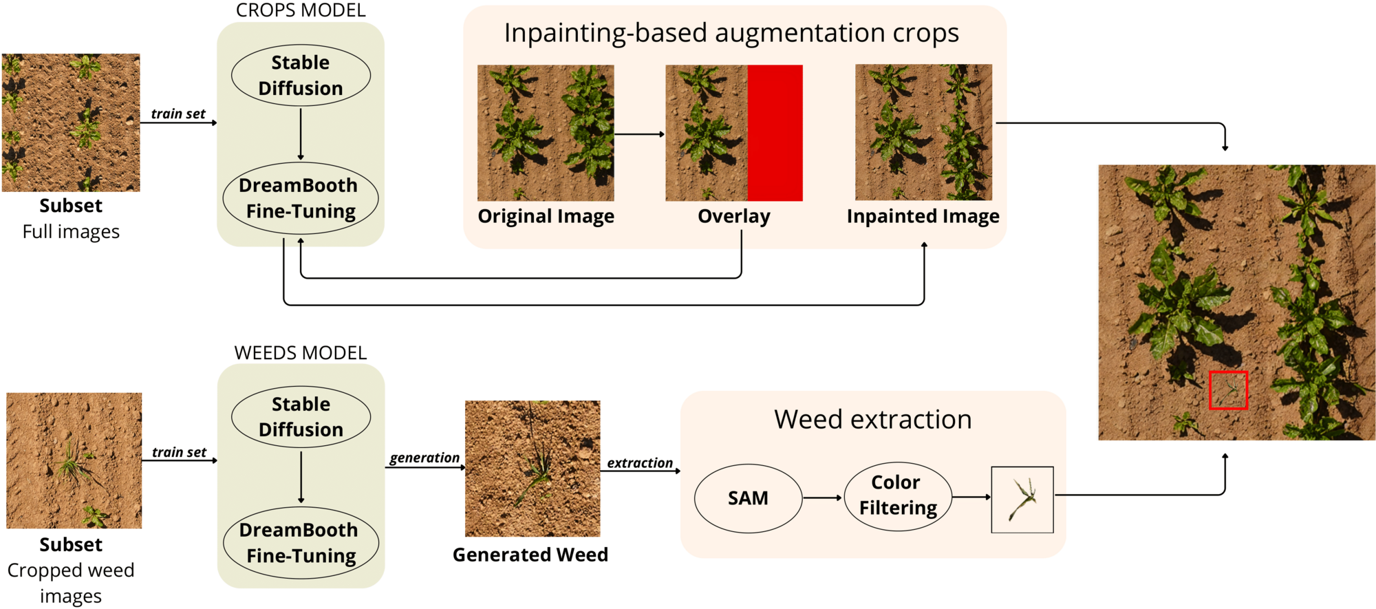 WeedDiffusion pipeline overview